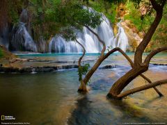 Tapeta National Geographic 573.jpg
